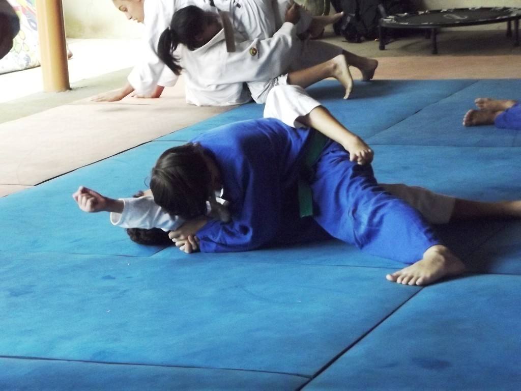 treino-shotyugueiko-2015-rio-claro-judo