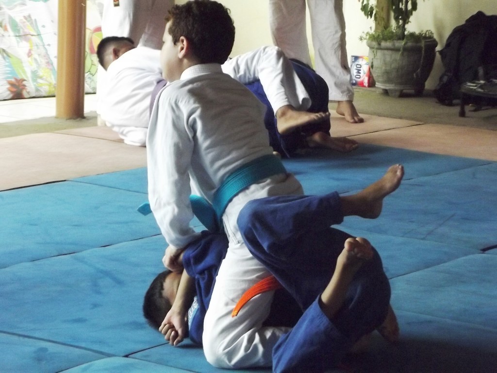 treino-shotyugueiko-2015-rio-claro-judo