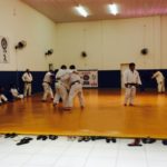 treinamento da shinrai de rio claro em vinhedo