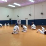 treinamento da shinrai de rio claro em vinhedo