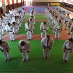 Curso de Nage No Kata em Araras